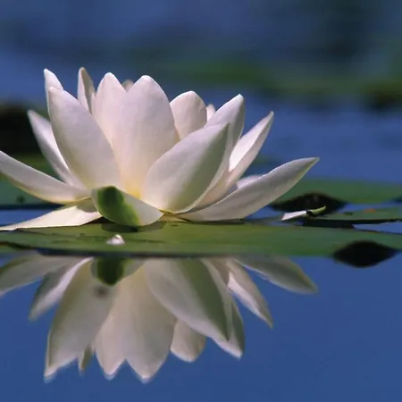 Apartmán Teresa Hévíz